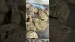 Video Thumbnail: 420Medical