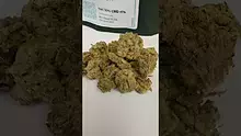 Medical UK Cannabis Video Thumbnail