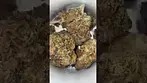 Craft botanics t25 Gelonade  #medicalcannabis #foryou #legal