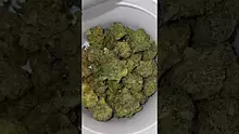 Mary Jane Media 420 Video Thumbnail