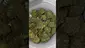Video Thumbnail: Mary Jane Media 420