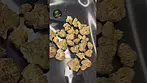 NXF-2 NF BF THC 24% CBD 1% CANNABIS FLOWER 10G Blueberry Fuego #nextfriday #flavour