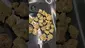 Video Thumbnail: TheMedCannHub