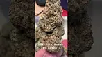 DOE Jack Herer Batch 3