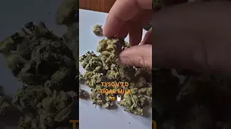 Tyson 2.0 - Tigar Milk T28 (UK Medical Cannabis Prescription)