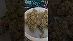 Lot420 AAAA Lemon Cherry Gelato UK Medical Flower First Impressions