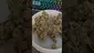 Video Thumbnail: Eazypax420