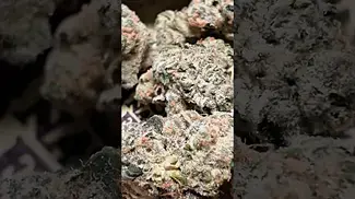 Tried These Medical Cannabis Strains… Kinda Disappointed