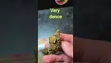 THC BUNNY Video Thumbnail