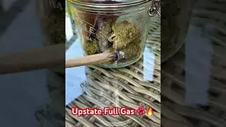 Upstate Full Gas #ukmedicalcannabis #paitent #painrelief #medical #flower