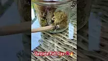 420Medical Video Thumbnail