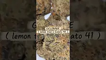 Adz Canna Video Thumbnail
