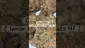 Video Thumbnail: Adz Canna
