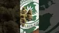 Video Thumbnail: Smokie McGreen