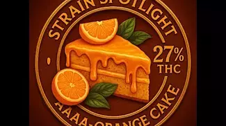 Strain Spotlight Orange Cake | AAAA Flower  Vaped with the Venty  | Sweet Citrus & Dreamy Effects