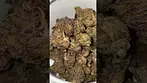 Adven cura b2 ( ac/dc cookies )