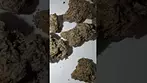 4C Labs Sour Cherry Punch Quick look! medicalcannabisuk prescription 4clabs