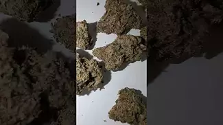 4C Labs Sour Cherry Punch Quick look! medicalcannabisuk prescription 4clabs