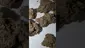 Video Thumbnail: Konna
