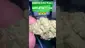 Video Thumbnail: Cannabis Culture 