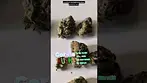 Gorilla Kush by Big Narstie T28 UK MEDICAL BN260105033 ED050426