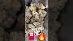 green karat modified gas medical cannabis 