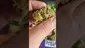 Video Thumbnail: Nugget Green