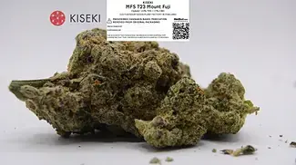 Kiseki T23 MFS Mount Fuji Sugar - eastern indulgence