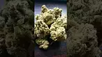 is this the best uk medical ?, green karat pave s1 30,uk medical going up levels imo 