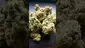 Video Thumbnail: VIP THC