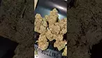 4C LABS ACAI BERRY (UK PRESCRIPTION MEDICATION)
