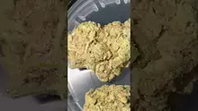 The Corporate Herbalist Video Thumbnail