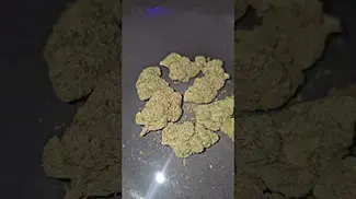 4C Labs ZkittleZ Fuel UK Medical Flower First Impressions