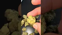 PiffTV Video Thumbnail