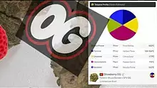 3 Seconds Ago Video Thumbnail