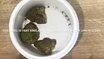 Liberation Lemon Cake By PrimaCann - Strain Reviews #09