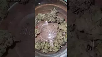 Pure SunFarms  Pink Kush 21%