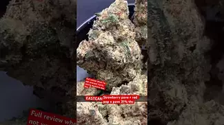 East can strawberry pave 31%thc.