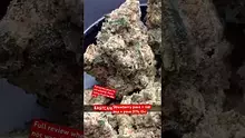 CannaTEE Video Thumbnail