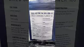 Mamedica | Lemon Cherry Z | UK Medical Flower | First Look