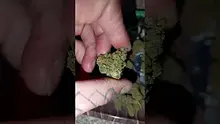 WestPacks420 Video Thumbnail