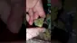 Video Thumbnail: WestPacks420