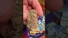 Doc Green Bud Video Thumbnail