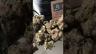 4C Labs Craft Select SZ T17 Sudz Medical Cannabis Flower
