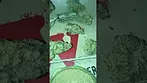 4C LABS |  STRAWBERRY CAKE  | UK MEDICAL CANNABIS PATIENT FLOWER VIDEO 