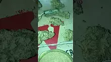 Medical Cannabis Patient Reviews UK Video Thumbnail