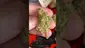 Video Thumbnail: St0nerLukas