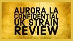 Aurora La Confidential Strain Review - UK Medical Cannabis