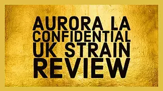Aurora La Confidential Strain Review - UK Medical Cannabis