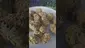 Video Thumbnail: Eazypax420